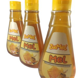 Kit com 3 bisnagas de Mel 500 g