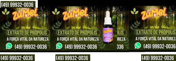 e1db70ee-4e56-480f-b73a-503e629de340 - Copia